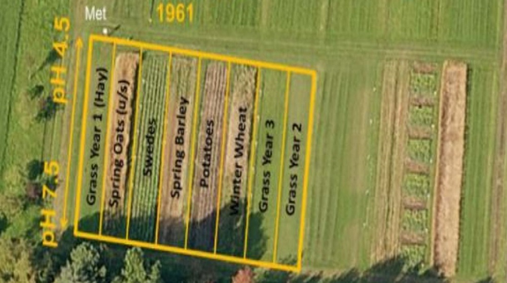 An aerial shot of some crop trial plots that investigate the effect of pH